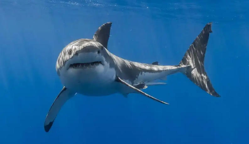 南通錦鑫機械制造有限公司輪播圖4