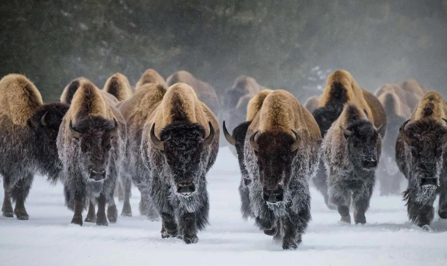 南通錦鑫機械制造有限公司輪播圖2